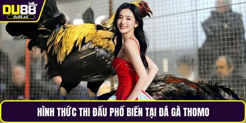 Hình thức thi đấu phổ biến tại đá gà Thomo